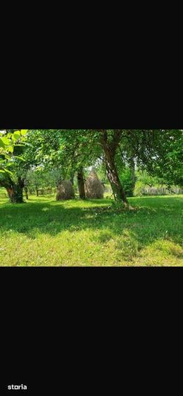 Teren de 1836 mp, în Șotrile