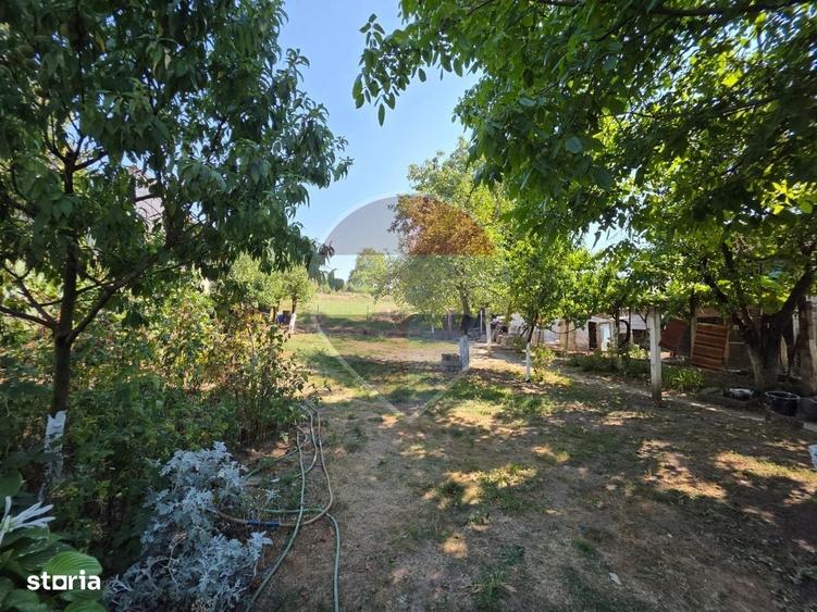 Casa traditionala cu istorie in satul Cornesti langa Tarnaveni Mures - 6