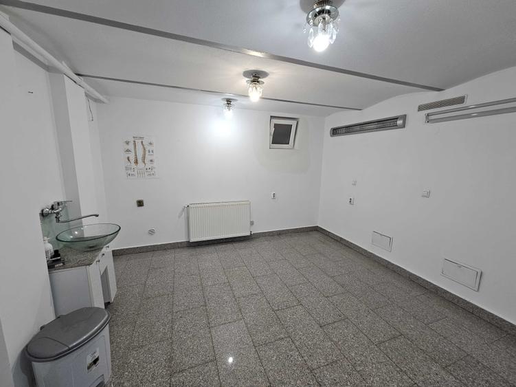Spațiu comercial, de 99 mp, în Lotrioara