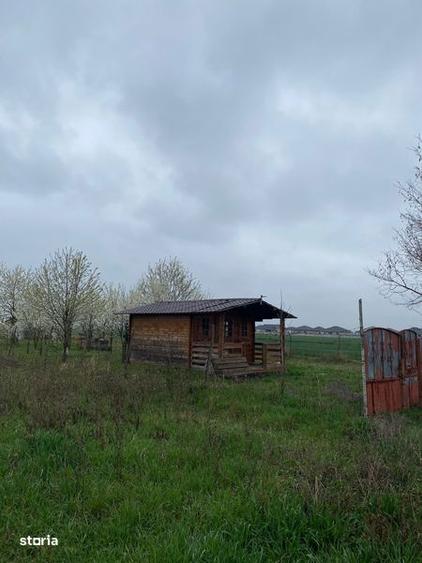 Teren de 5000 mp, în Lazuri
