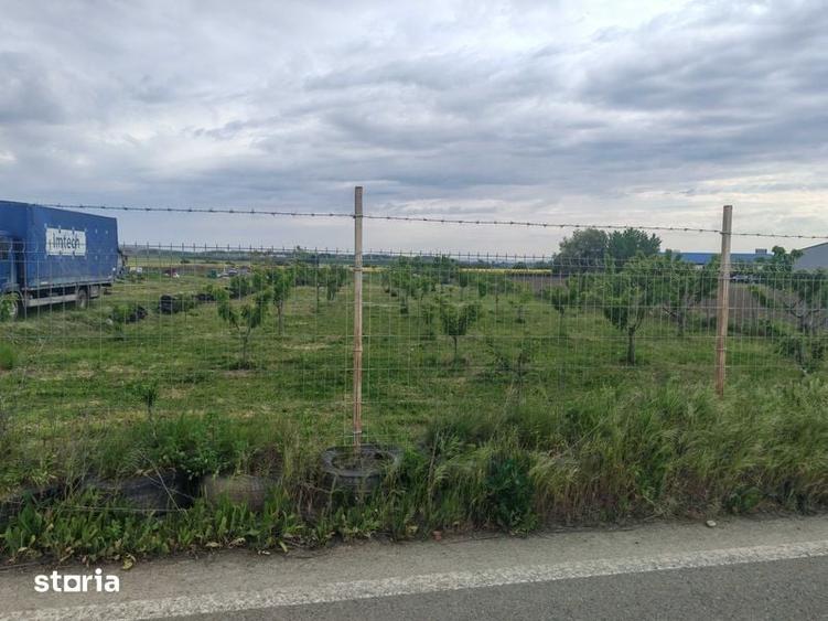 Teren de 9700 mp, în Galda de Jos