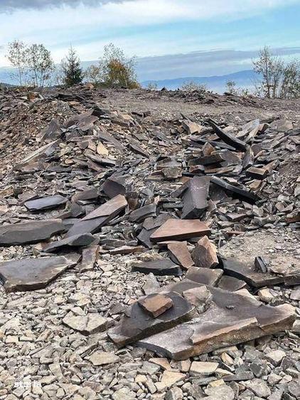 Teren de 50000 mp, în Joseni
