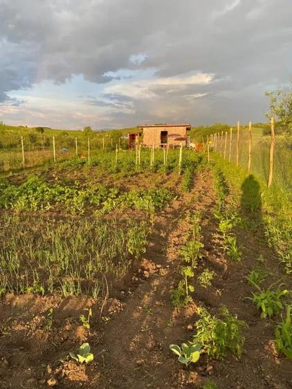 Teren de 1000 mp, în Sigmir