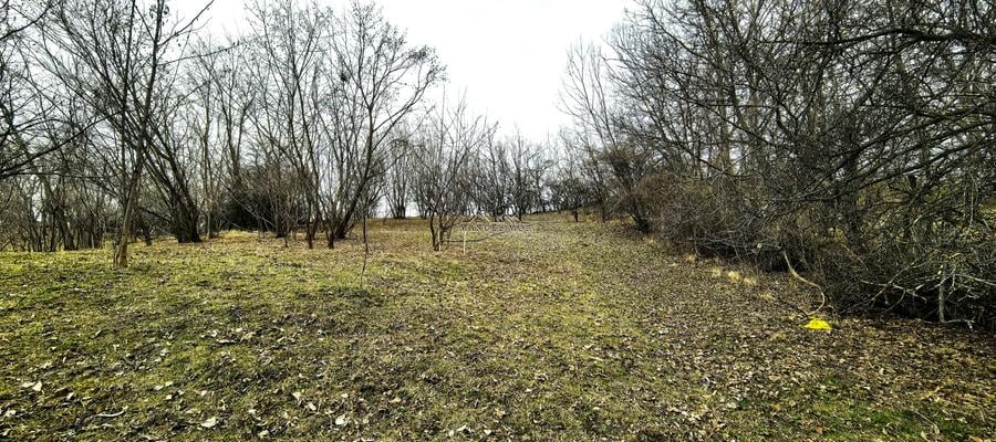 Teren agricol intravilan de 2623 mp, în Est