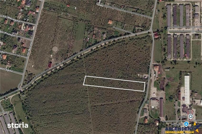 Teren de 6510 mp, în Ilieni