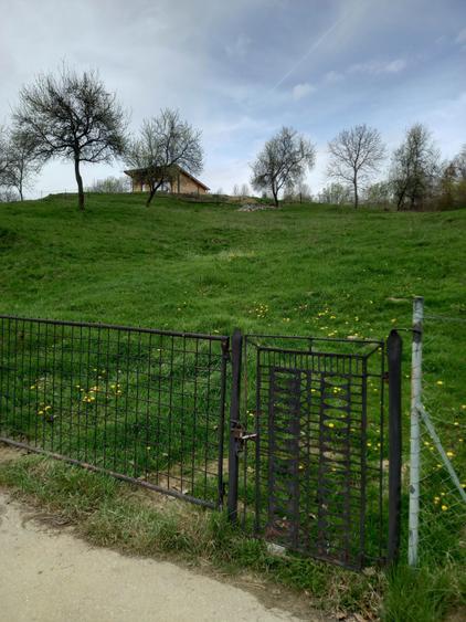 Teren de 3000 mp, în Căpățânenii Pământeni