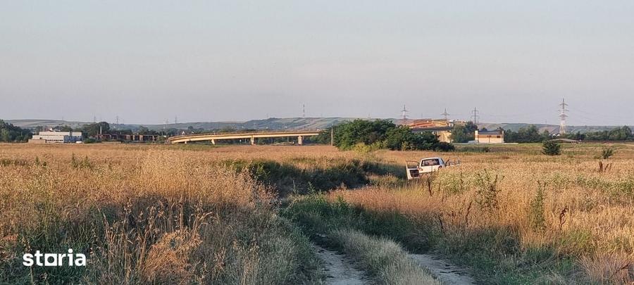 Teren 5000 mp Rovine 2(Troaca) - 1