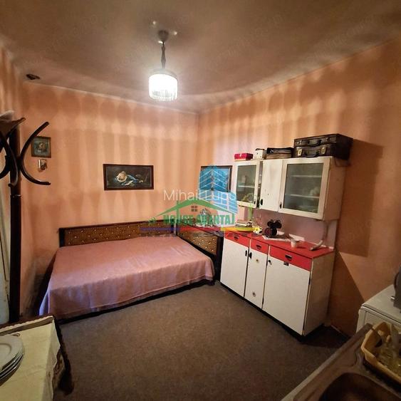 Vila interbelica de excep?ie utilizare mixta Ultracentral Odobe?ti