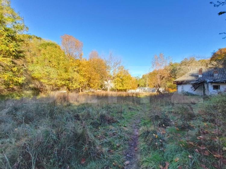 Teren Construcții intravilan de 3600 mp, în Bascov