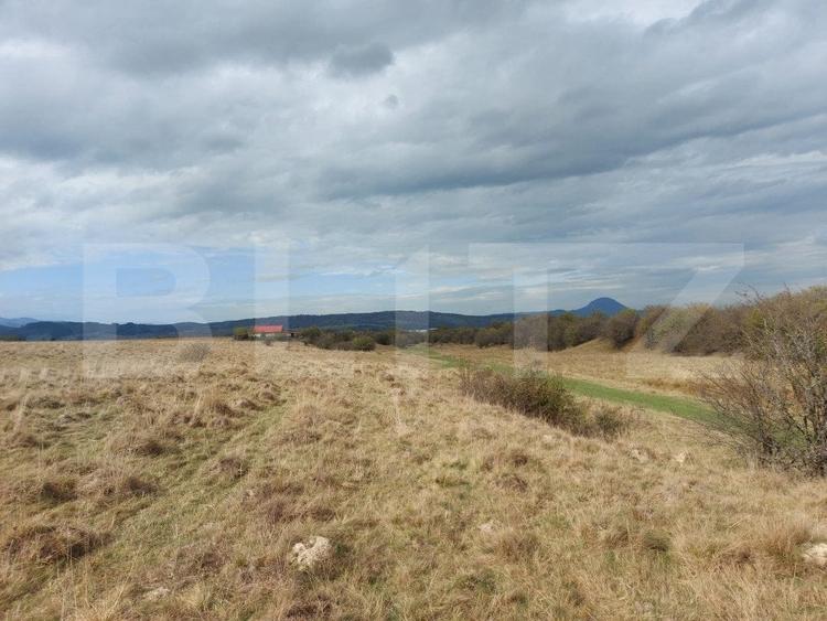 Teren Construcții extravilan de 10000 mp, în Sud-Vest