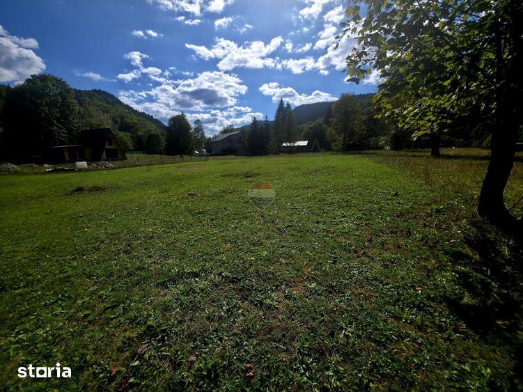 Teren de 1113 mp, în Tarcău