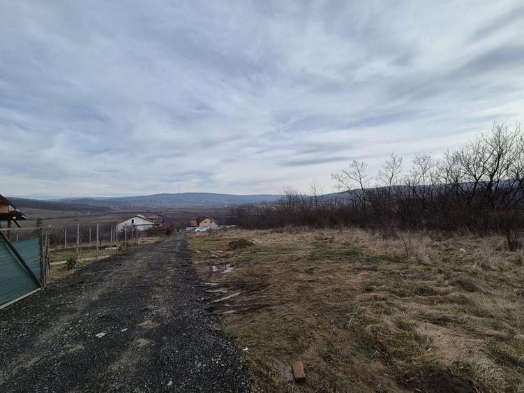 Teren de 493 mp, în Ciurea