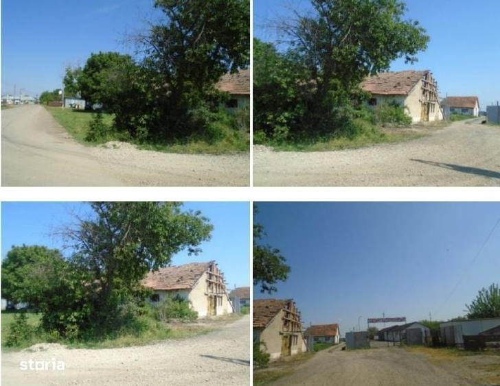 Casă cu 2 camere în Albina