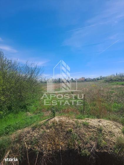 Casă cu 2 camere cu Teren 5075 Mp în Foeni