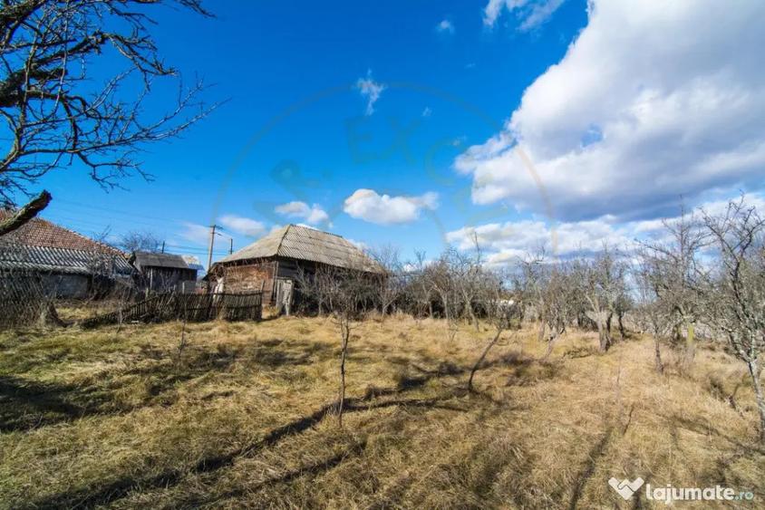 Casă cu 3 camere cu Teren 4145 Mp în Vedea