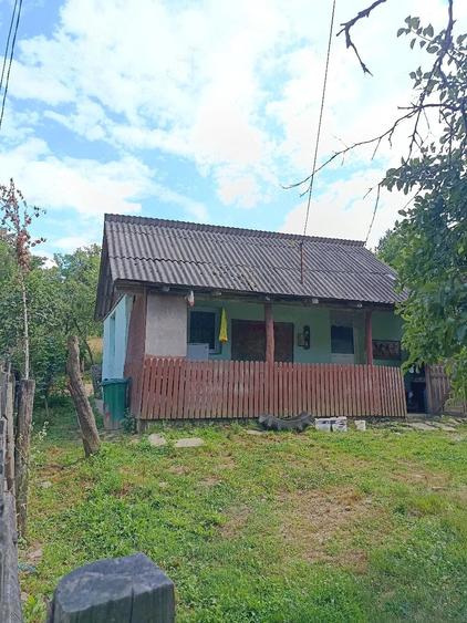 Casă cu Teren 10 Mp în Ludeștii de Jos