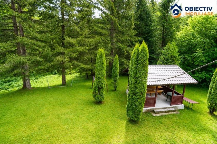🏡 Cabană de Vânzare în Tarcău – Natură, Relaxare și Pescuit la Poartă! 🎣🌲 - 10