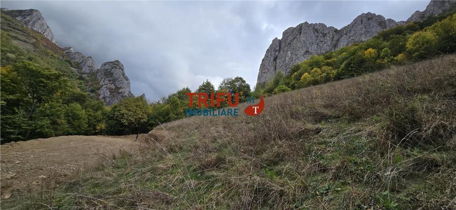 Teren intravilan de 15000 mp, în Râmeț