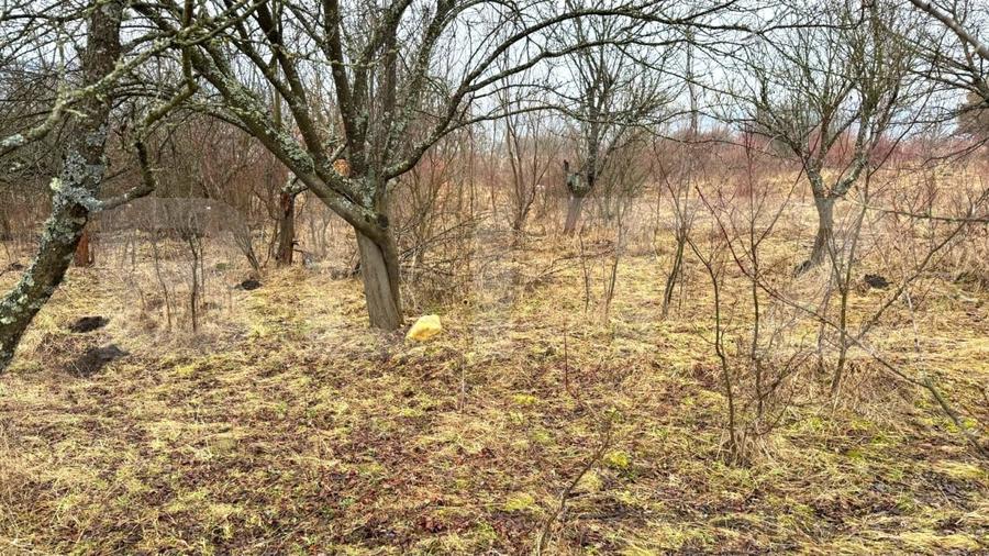 Teren Construcții extravilan de 2900 mp, în Sud-Vest