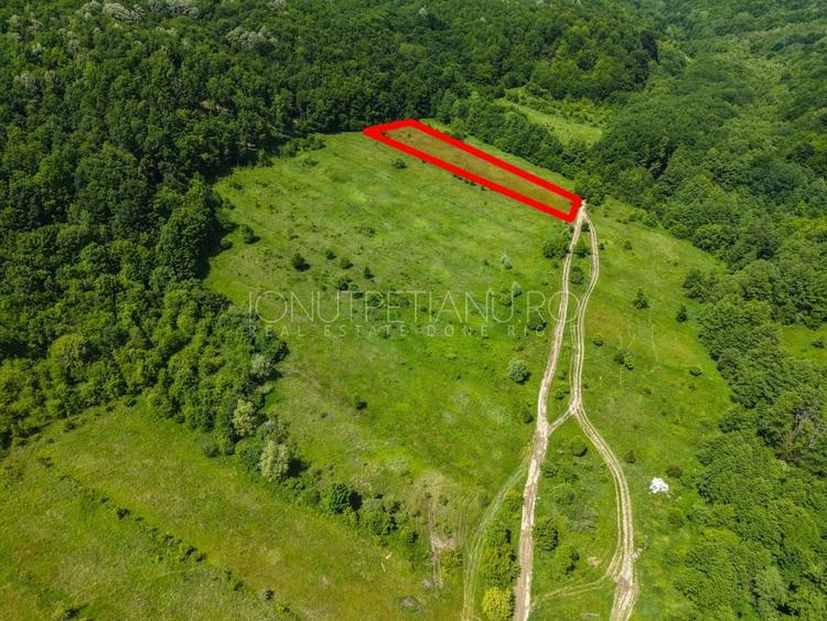 Teren agricol extravilan de 5500 mp, în Valea Mare-Podgoria