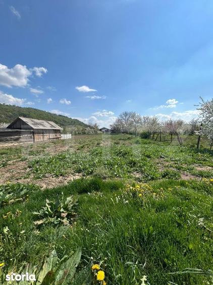 Casă cu 2 camere cu Teren 2300 Mp în Cășeiu