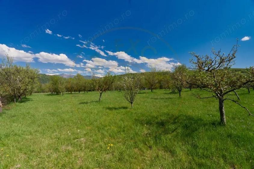 Casa Valea Mare Pravat (Campulung-Arges ) - farmec interbelic - 9915 mp teren - 4