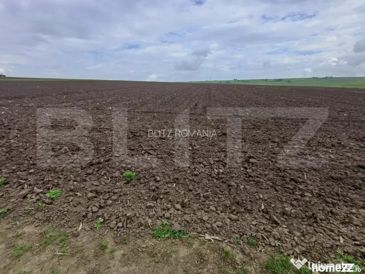 Teren de vanzare intravilan, 33 ari, Cumparatura - Suceava (Suceava)