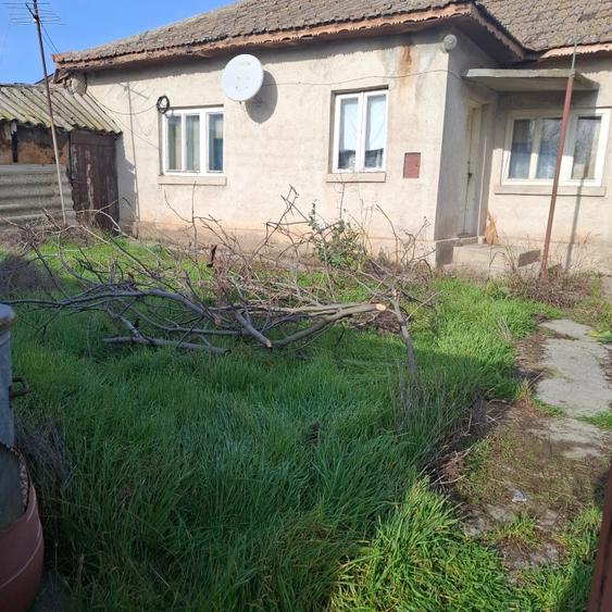 Teren Construcții intravilan de 3000 mp, în Poiana