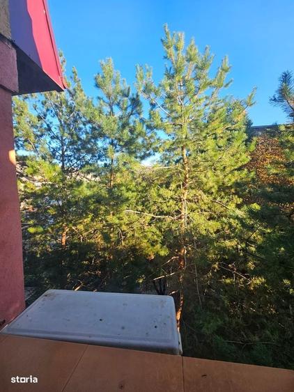 Apartament cu 2 camere în Obcini