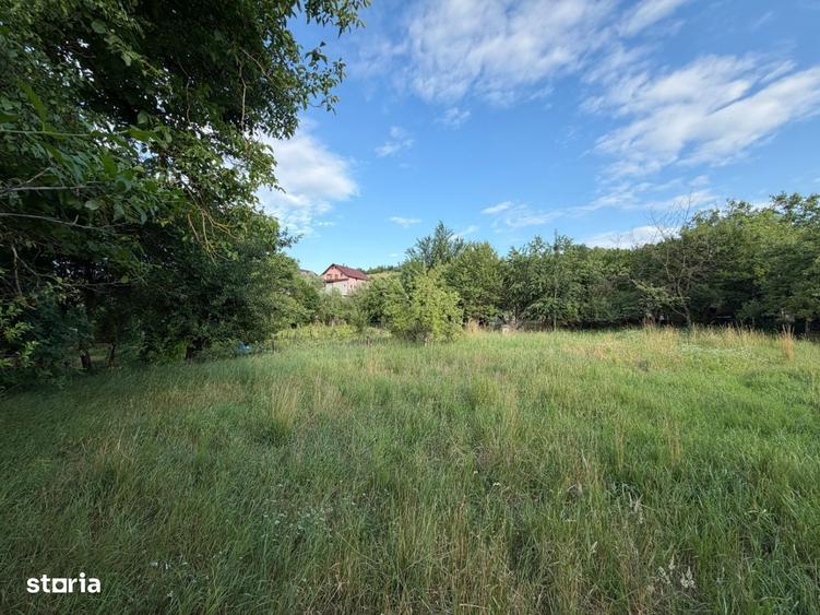 Teren intravilan cu constructie renovabila, 1715 mp, Zona Suceagu - 2