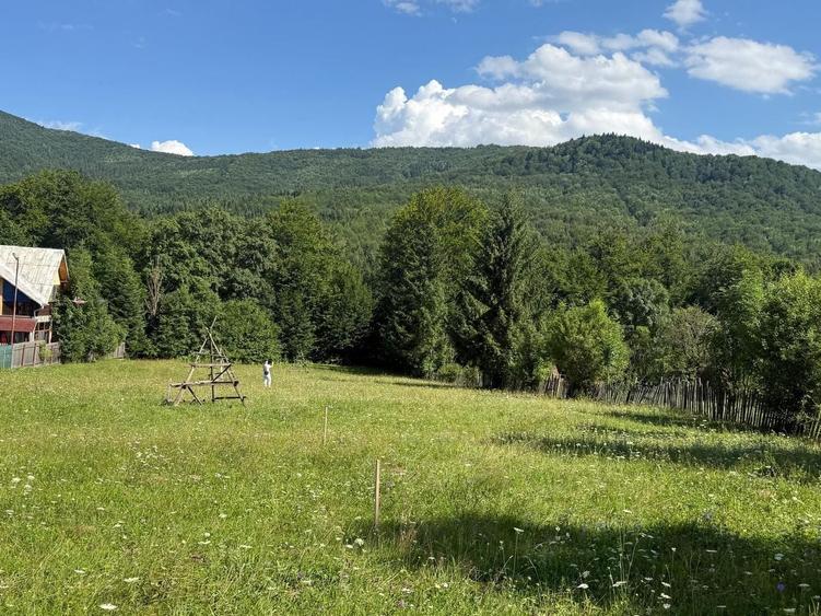 Teren Construcții intravilan de 1662 mp, în Trăisteni