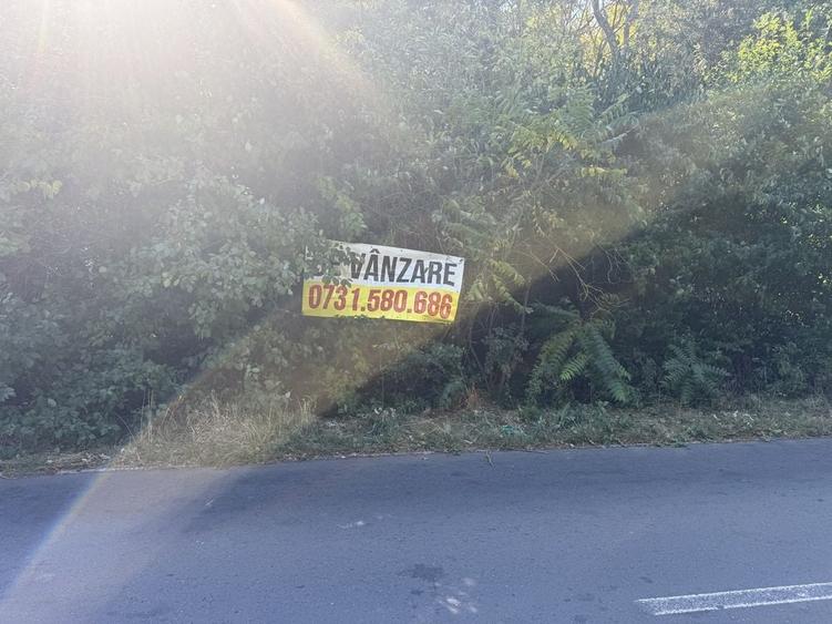 Spațiu comercial, în Central