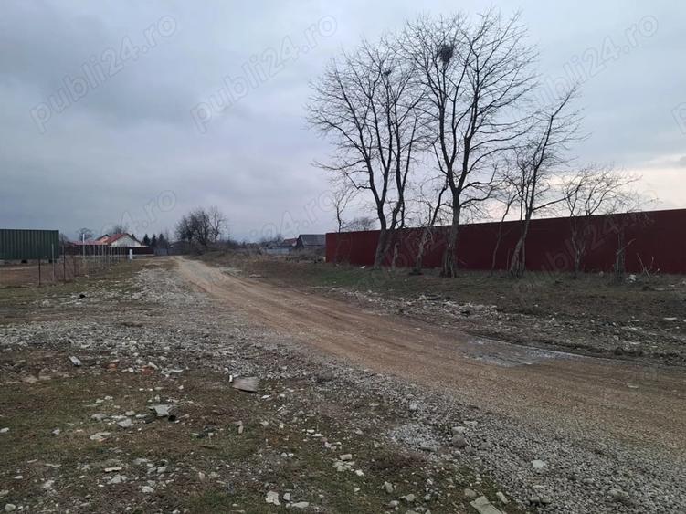 Teren de 1450 mp, în Cărpiniș