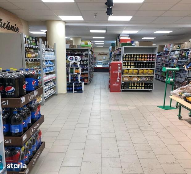Spațiu comercial, de 1,000 mp, în Delfinariu