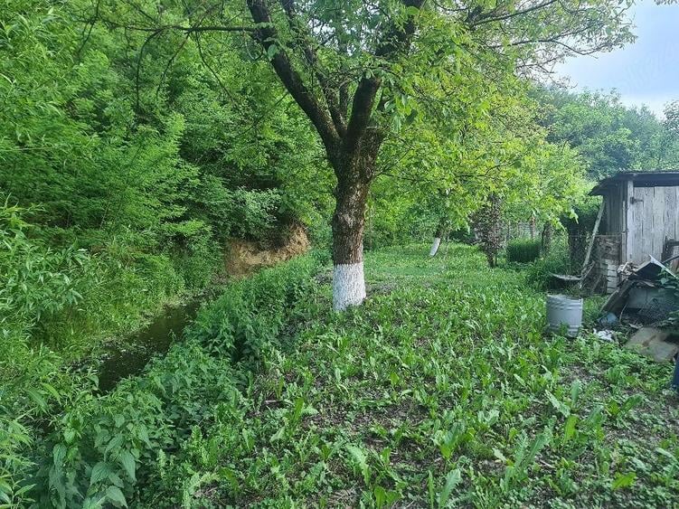 Casă cu Teren 1520 Mp în Central