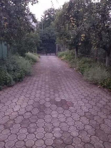 Dambu Pietros - Vanzare casa - Str. Calea Sighisoarei - 5