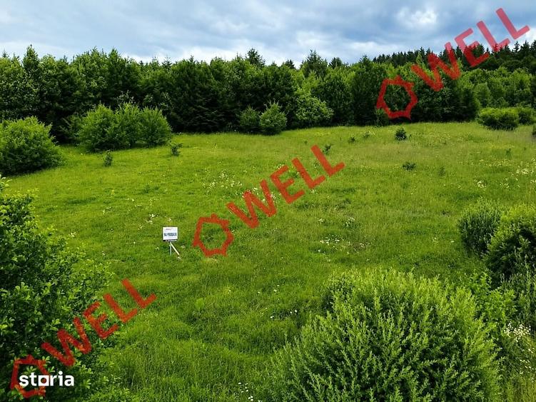 Teren de 1500 mp, în Dumbrăvița