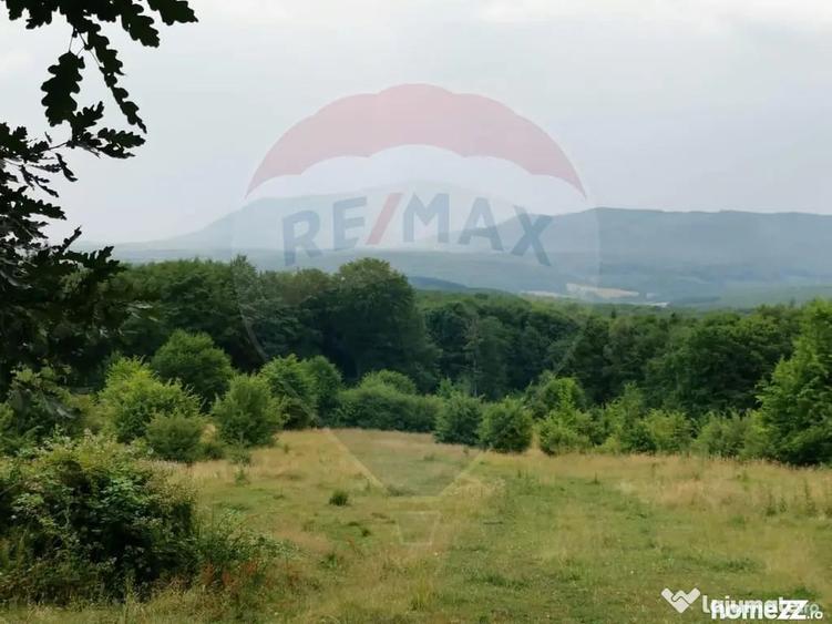 Teren în Dumbrăvița