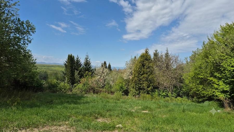 Teren Construcții intravilan de 802 mp, în Făget