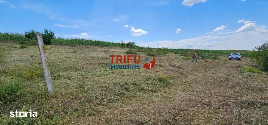 Teren de 500 mp, în Ciugud