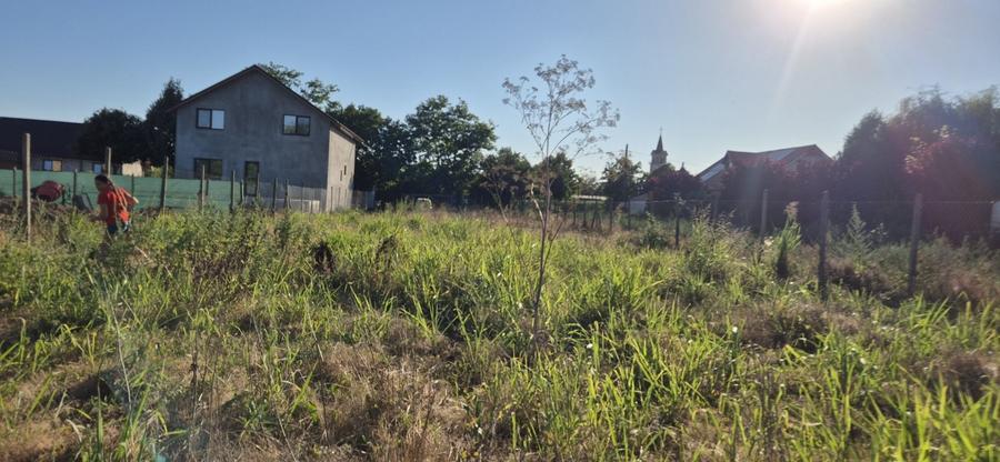 Teren 1000 mp, Oituz (16 min de Constanta) - 1