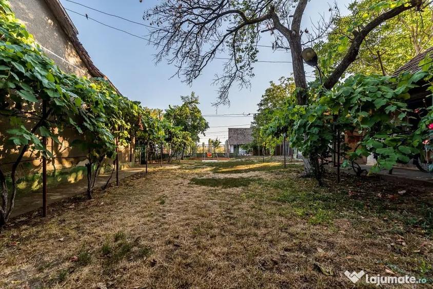 Casă cu 3 camere cu Teren 3950 Mp în Dorobanți