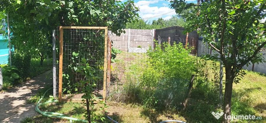 Casă cu 3 camere cu Teren 3400 Mp în Icoana