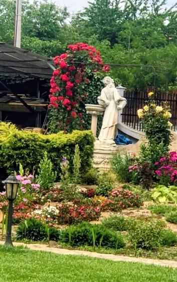 Casă cu 4 camere cu Teren 2300 Mp în Lunei