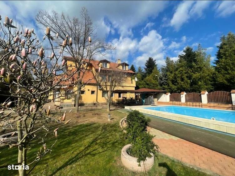 Iancu Nicolae:Vila impresionanta,cu piscina si teren de 1500mp - 3