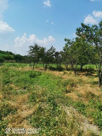 Teren Construcții intravilan de 1500 mp, în Găureni