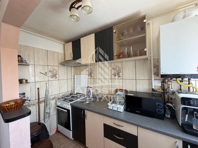 Apartament cu 3 camere de vânzare , Zona Dacia , Timisoara - 10