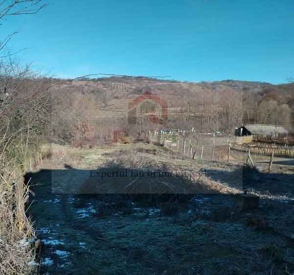 Teren Construcții intravilan de 1683 mp, în Tigveni