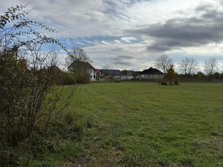 Teren Construcții intravilan de 3432 mp, în Mogoșești