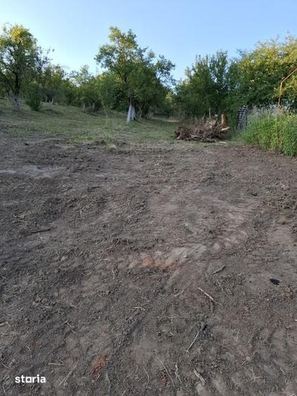 Teren de 1500 mp, în Berislăvești